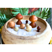 Mushroom Set 9