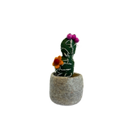 Felt Flowered Cactus Plant