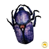 Cleo Scarab Beetle Red