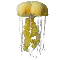 Quinn Jellyfish