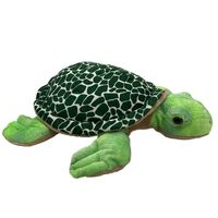 Taylor Turtle