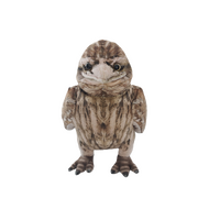 Keenan Tawny Frogmouth