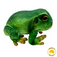 Green Tree Frogs Book and Plush Bundle